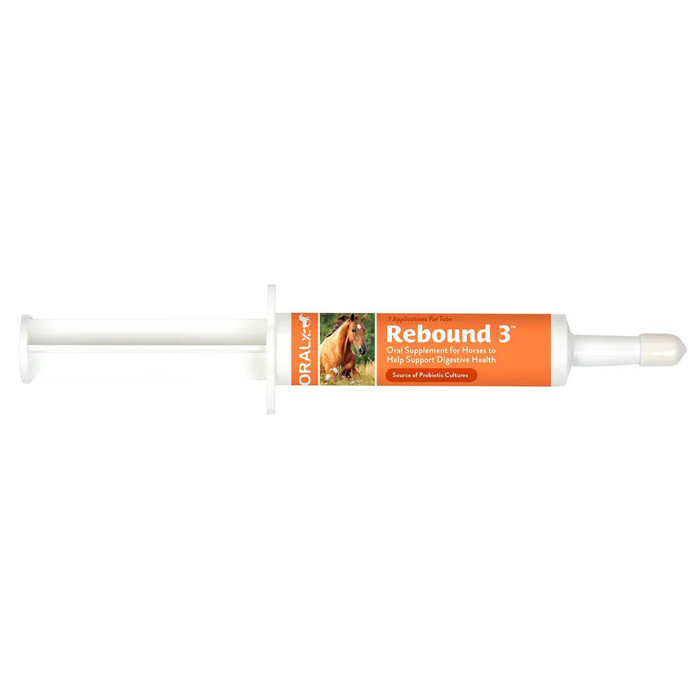 Rebound-3 Probiotic Horse Supplement
