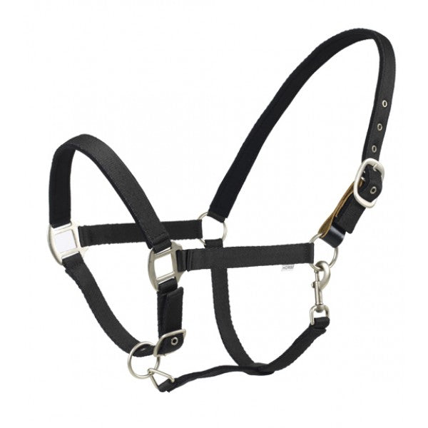Centaur Cushion Padded Breakaway Halter
