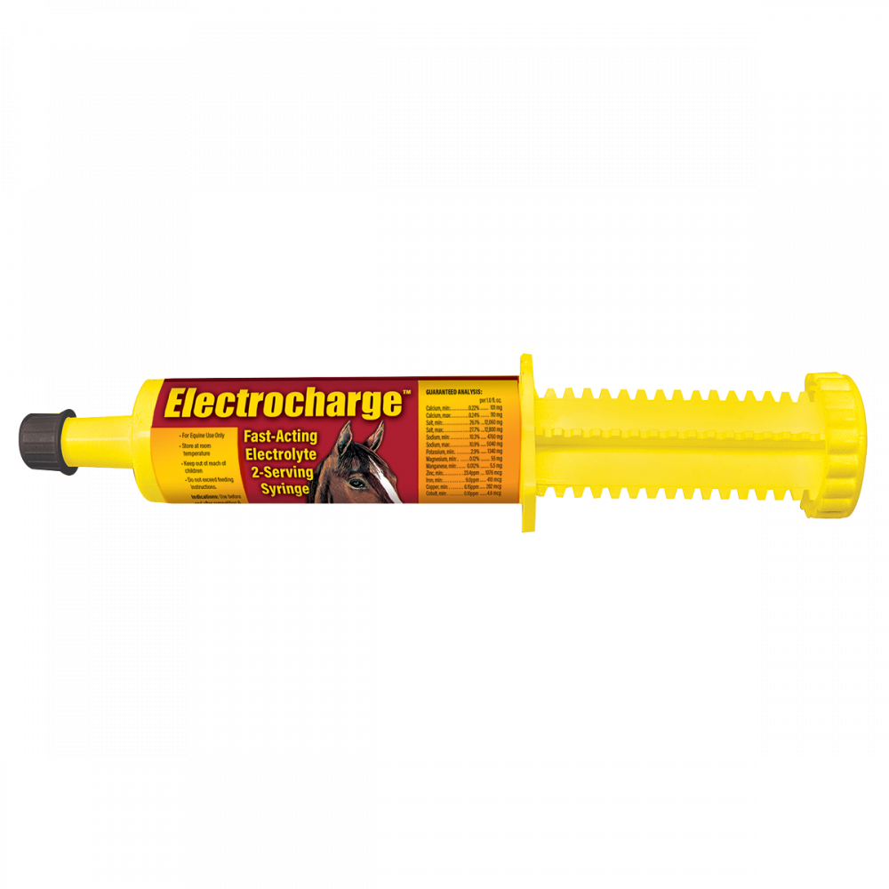Electrocharge Paste