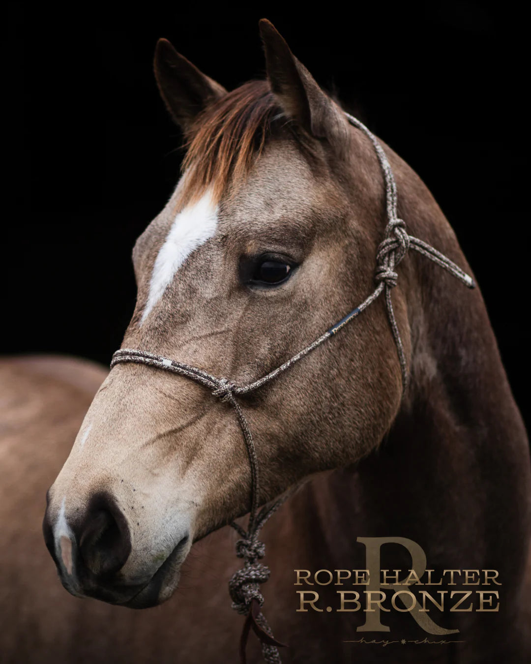 HayChix Redemption Rope Halters