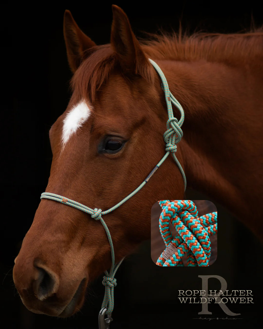 HayChix Redemption Rope Halters
