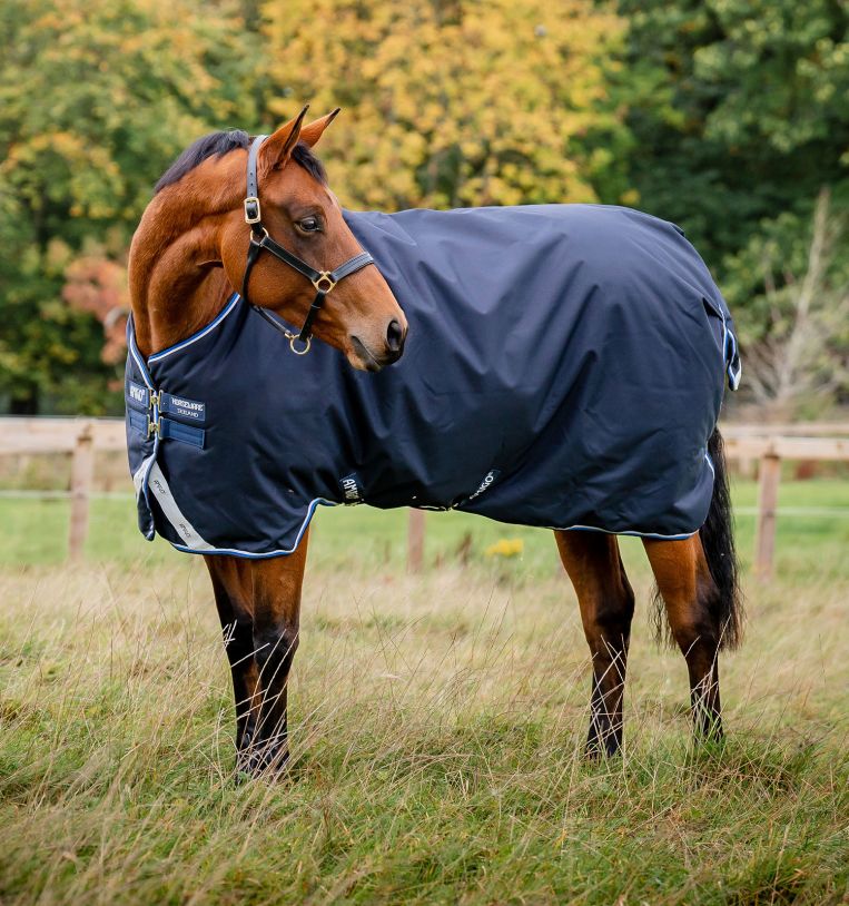 Horseware Amigo Bravo 12 Original Turnout (250g Midweight)