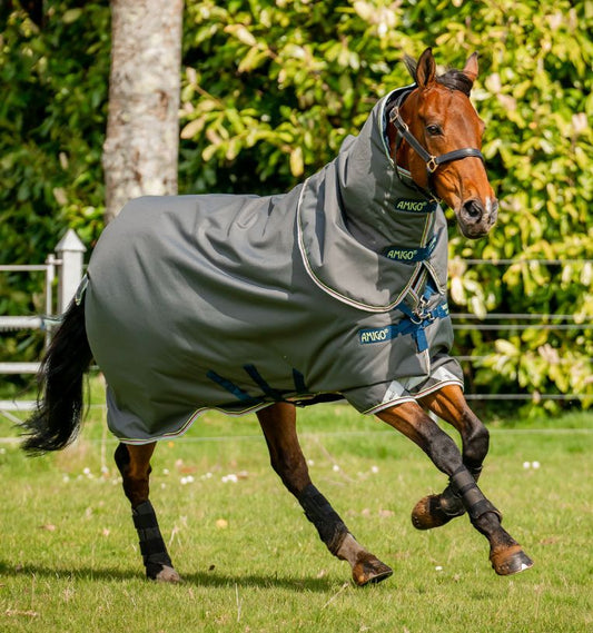 Horseware Amigo Bravo 12 Plus Turnout (250g Midweight)