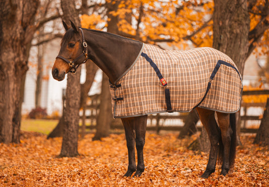 5/A Baker® Stable Sheet