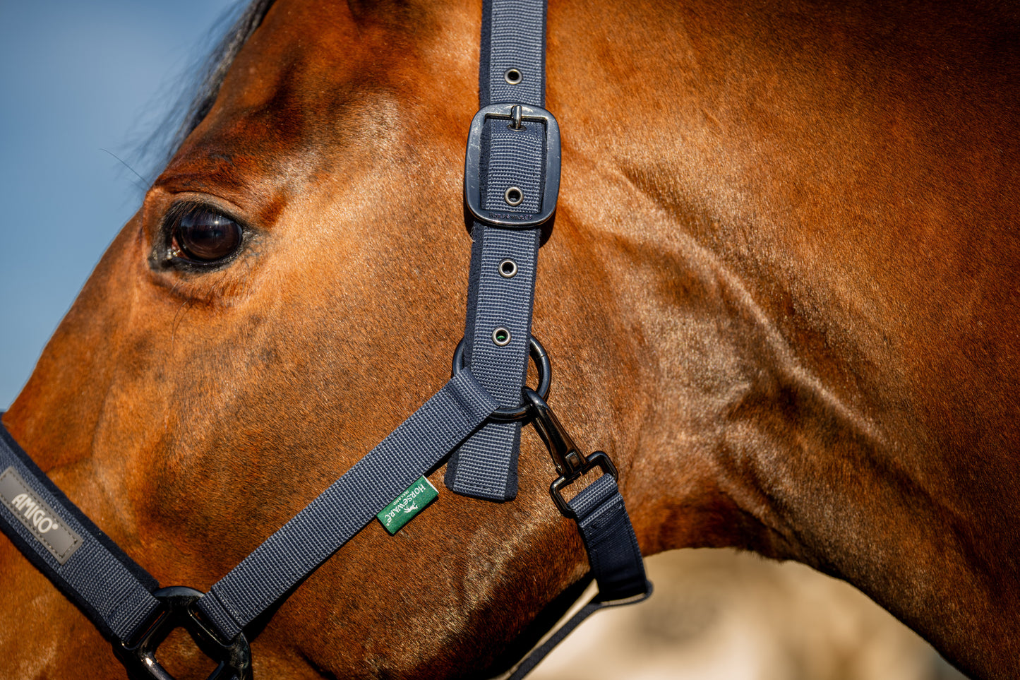 Horseware Amigo Headcollar & Leadrope Set