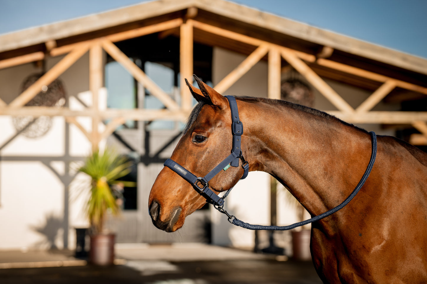 Horseware Amigo Headcollar & Leadrope Set