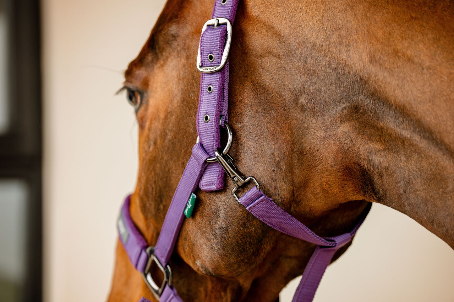 Horseware Amigo Headcollar & Leadrope Set