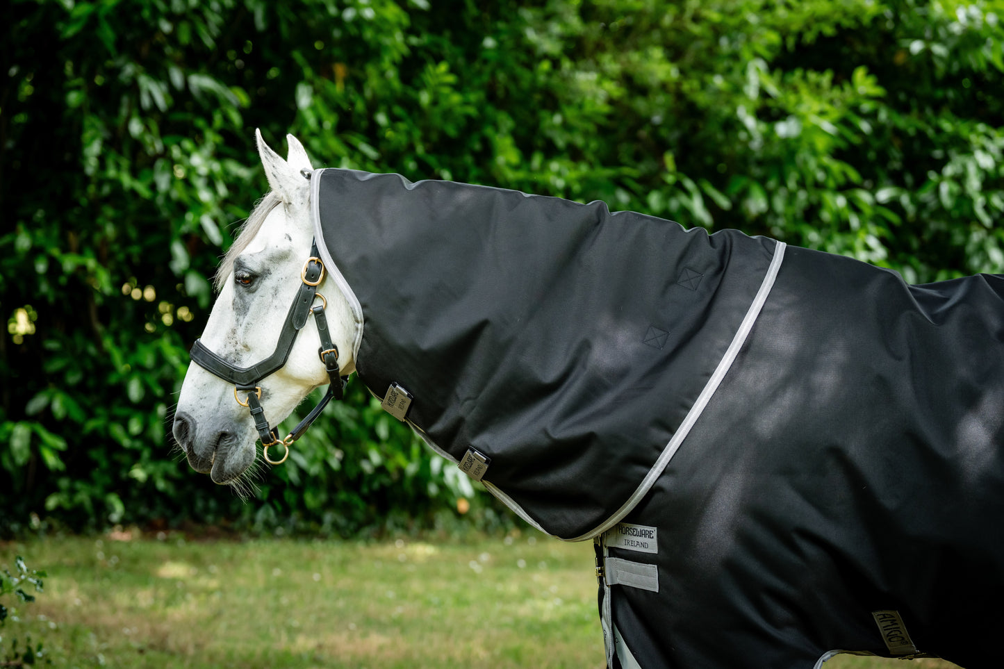 Horseware Amigo Bravo 12 Original Turnout Hood (150g)