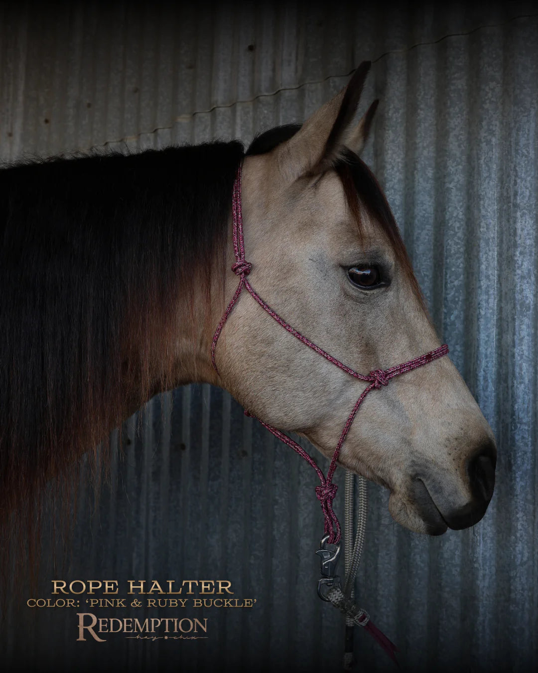 HayChix Redemption Rope Halters