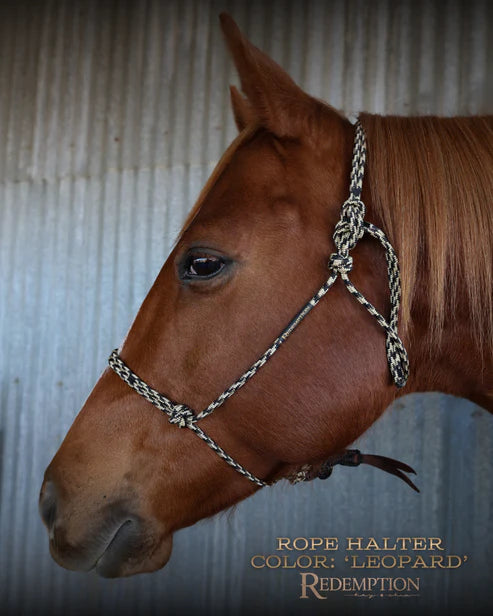 HayChix Redemption Rope Halters